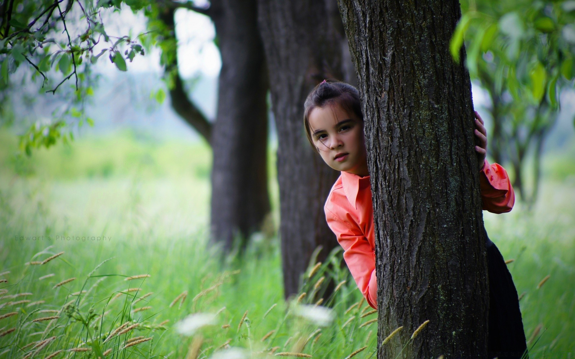 enfants nature arbre parc bois à l extérieur herbe été automne feuille fille