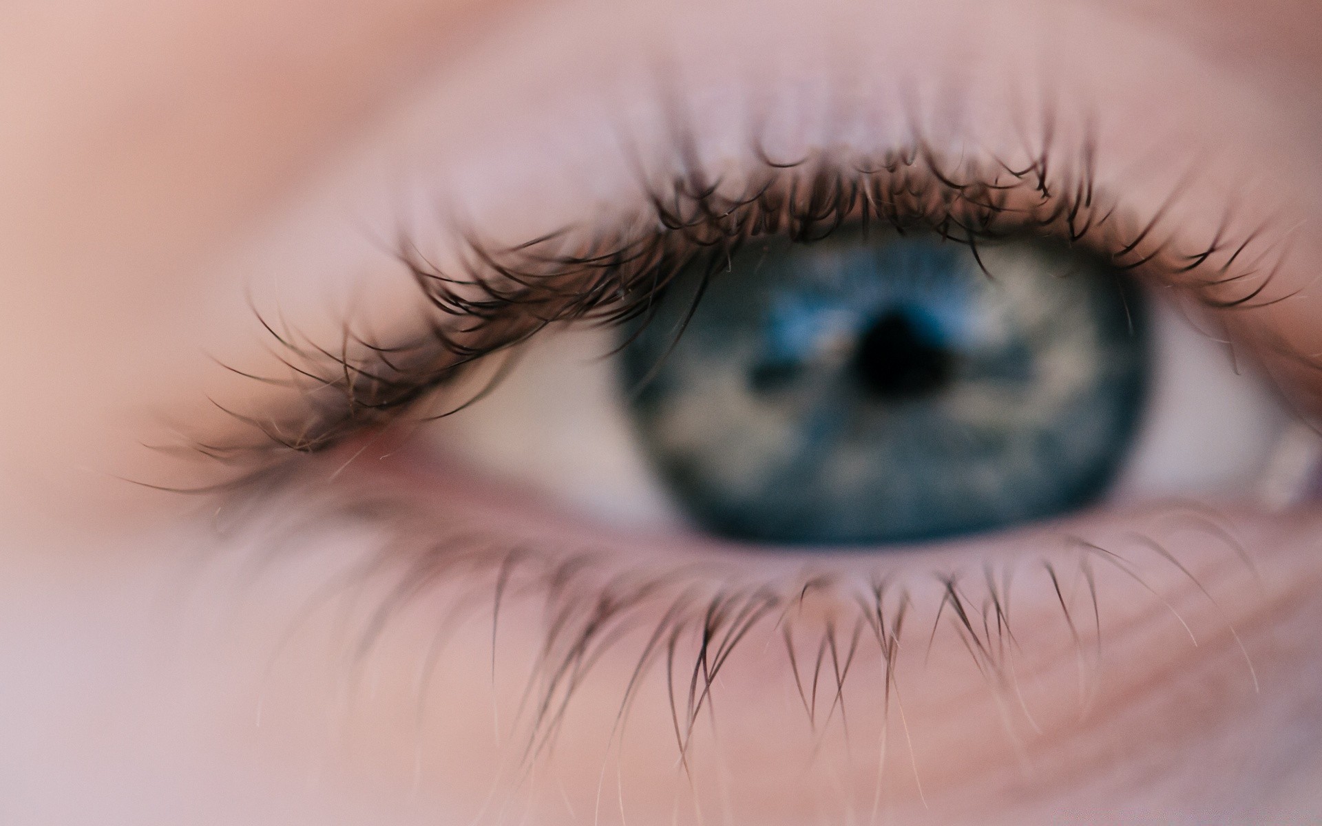 romantik mädchen vision frau augapfel wimpern spektakel vision modell gesicht auge porträt schön aussehen lippen fokus netzhaut glamour mascara augenbrauen