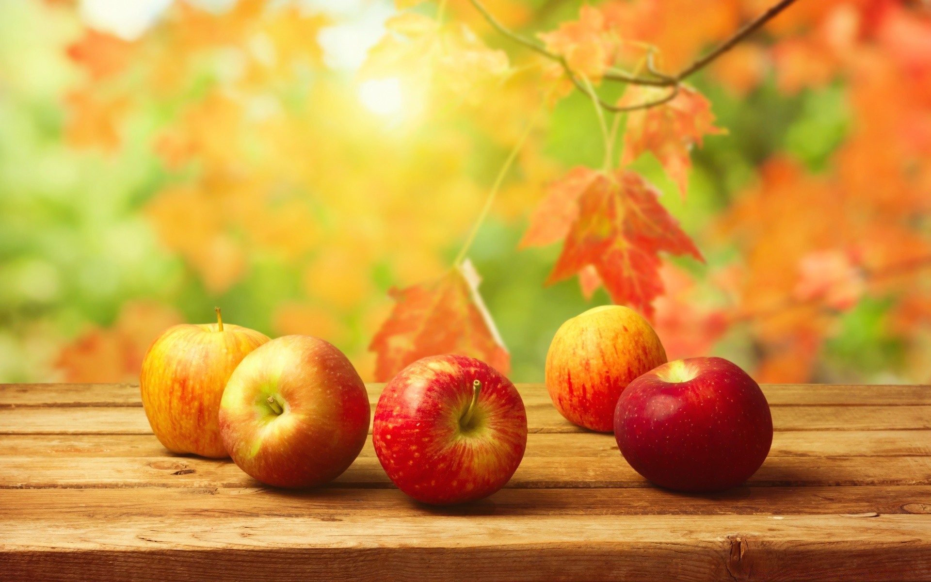 obst blatt apfel essen gesund herbst saftig gesundheit essen aus holz weide natur lecker frische ernährung süßwaren farbe holz garten