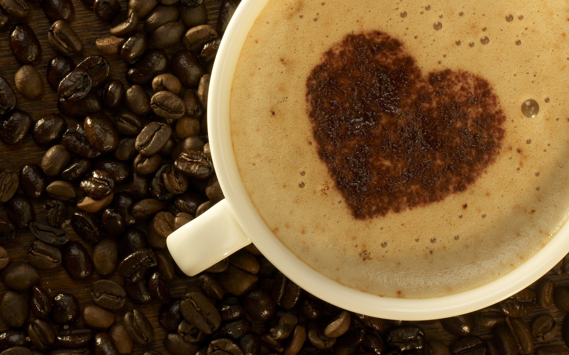 essen & trinken kaffee koffein espresso trinken bohnen cappuccino frühstück tasse dunkel dämmerung essen heiß parfüm mokka schaum becher geschmack müsli wohlschmeckend