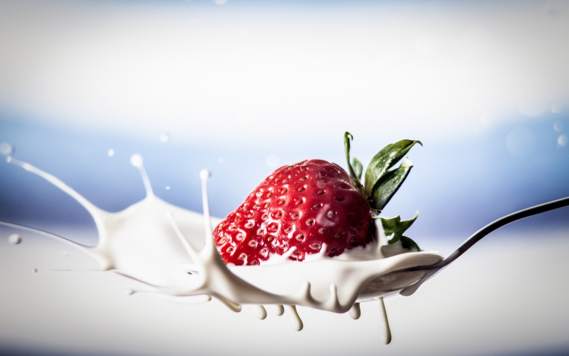 fruits repas baie doux nature nature morte fraise rafraîchissement été délicieux feuille