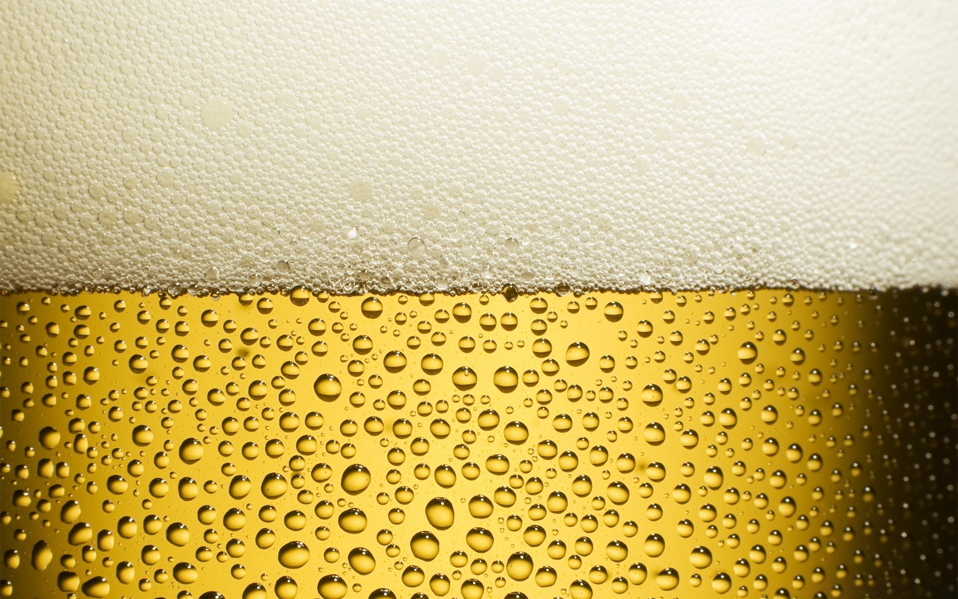 getränke bier schaum nass lager blase glas regen desktop alkohol tropfen tau brauerei trinken flüssigkeit textur ale gold muster wasser