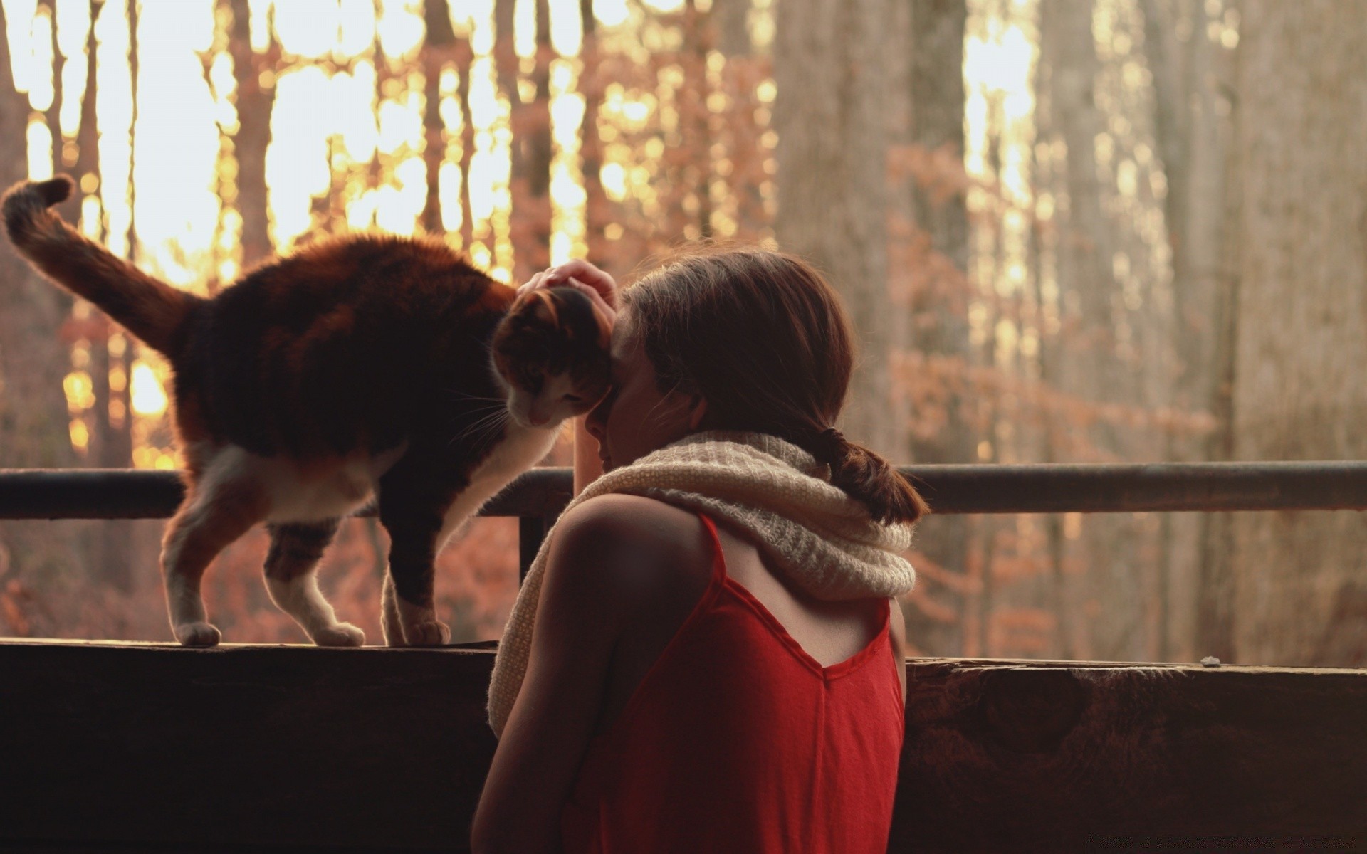 animales amantes uno adulto mamífero mujer retrato dos interior gato desgaste perro niño chica hombre