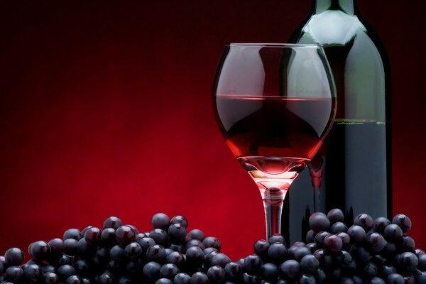 Pubblicità di vino d uva con frutta