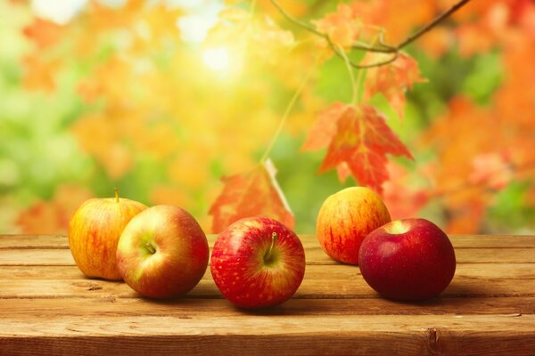 Pommes juvéniles-ne sont-ils pas les héros de nombreux contes de fées