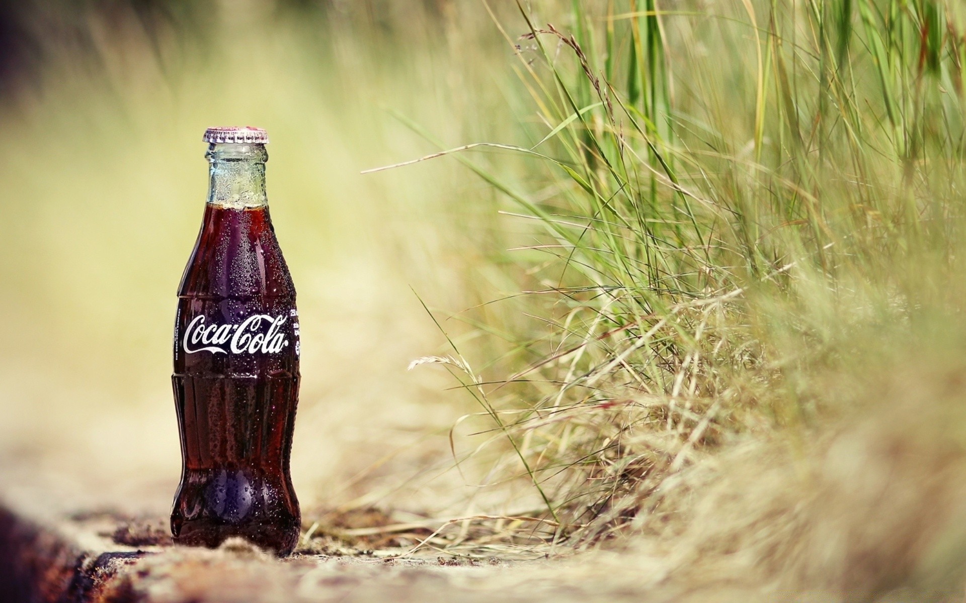 bebidas ao ar livre natureza grama verão