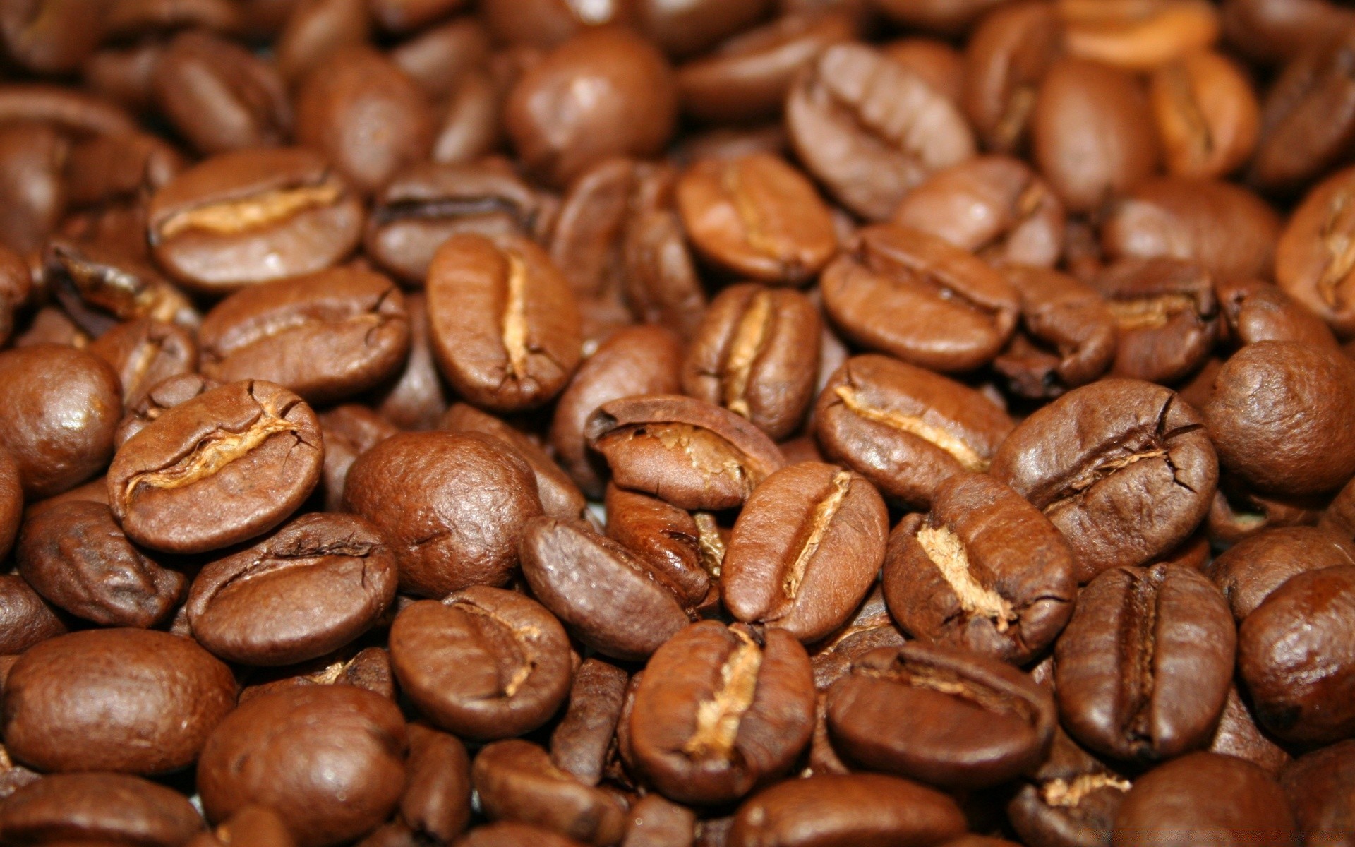 nourriture et boissons café caféine espresso cappuccino moka haricots aube sombre boire parfum alimentaire partie graines épicure arabica petit déjeuner récolte goût savoureux