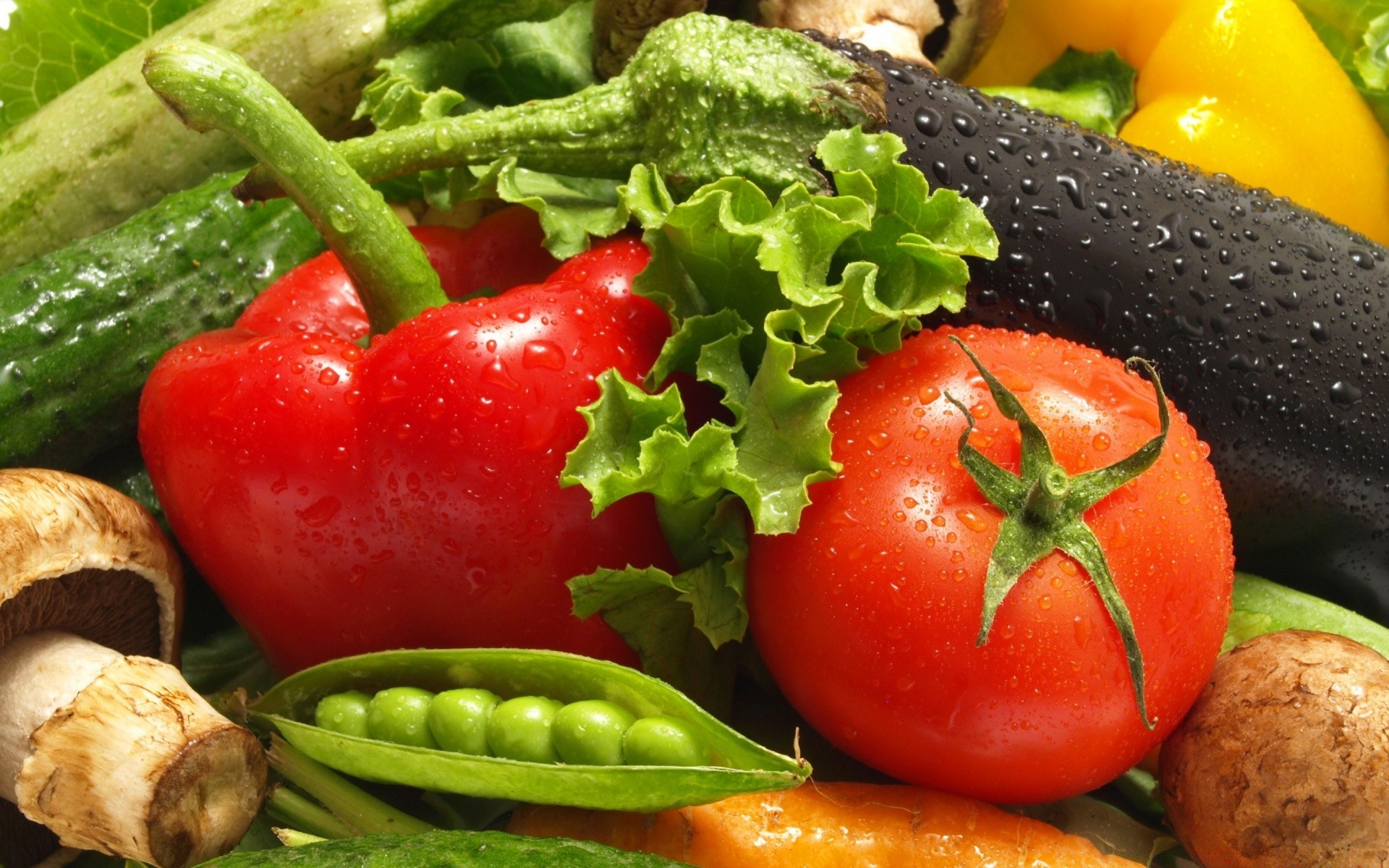 légumes alimentaire légume en bonne santé tomate santé cuisine poivre alimentaire salade concombre grandir régime alimentaire salade ail ingrédients délicieux feuille oignon