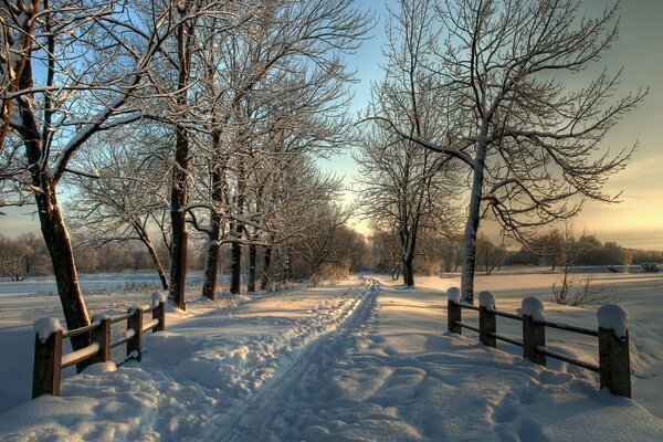 Avenida marcada por la nieve en invierno