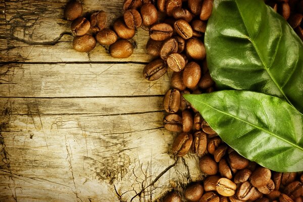 Coffee beans on a wooden texture