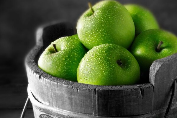 Manzanas verdes brillantes en un cubo sobre un fondo gris