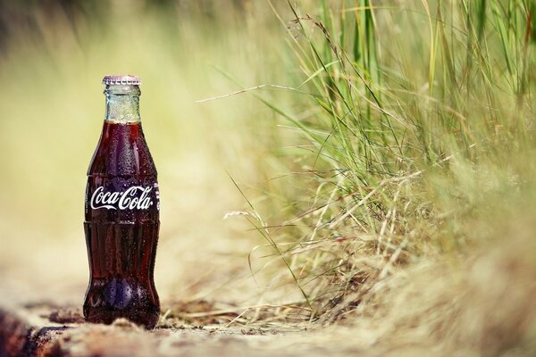 Bottiglia di Coca Cola sull erba