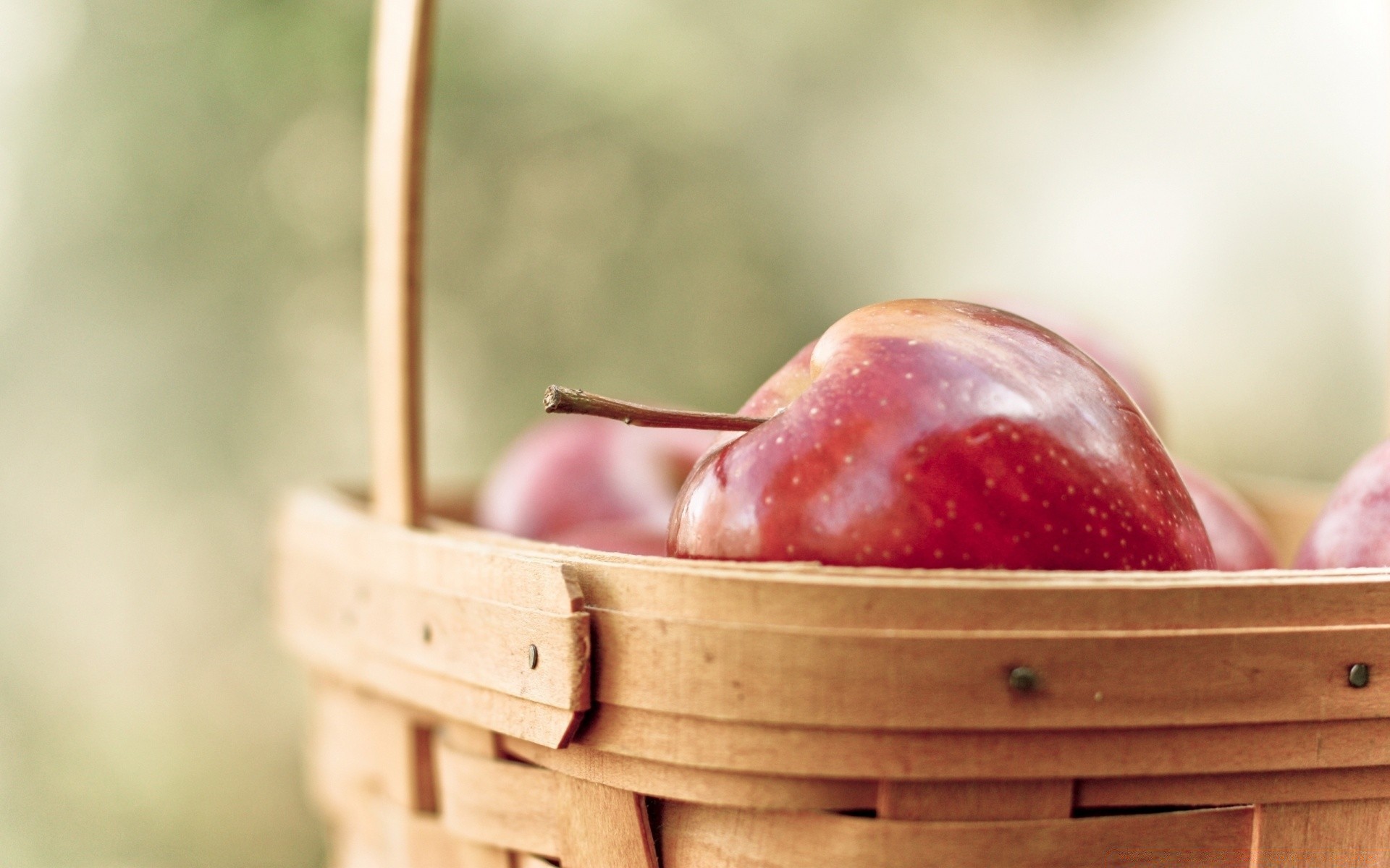 fruits bois en bois alimentaire nature délicieux santé conteneur panier été pâturage