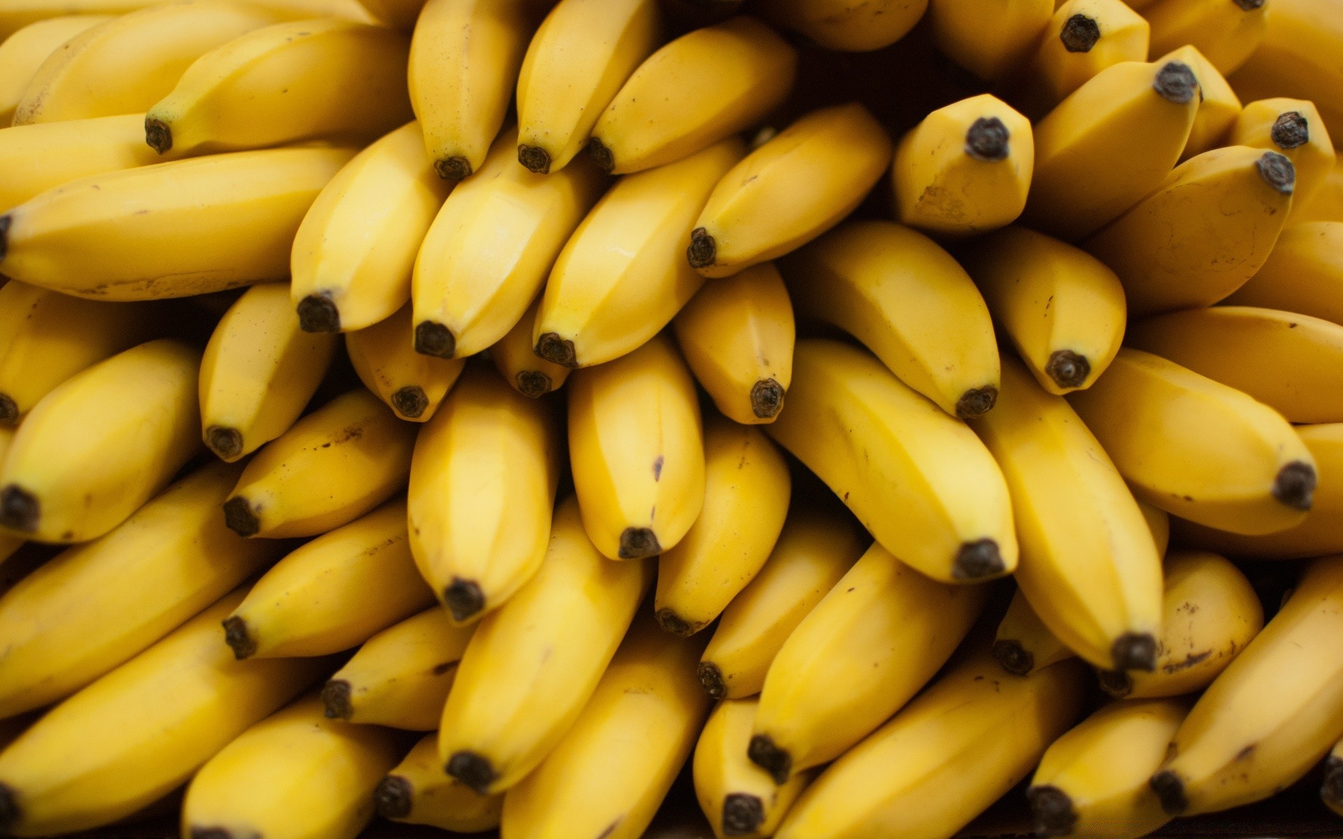 obst banane essen wachsen essen haufen gesundheit markt gruppe tropisch süßwaren landwirtschaft viele desktop rind kalium gesund diät gemüse