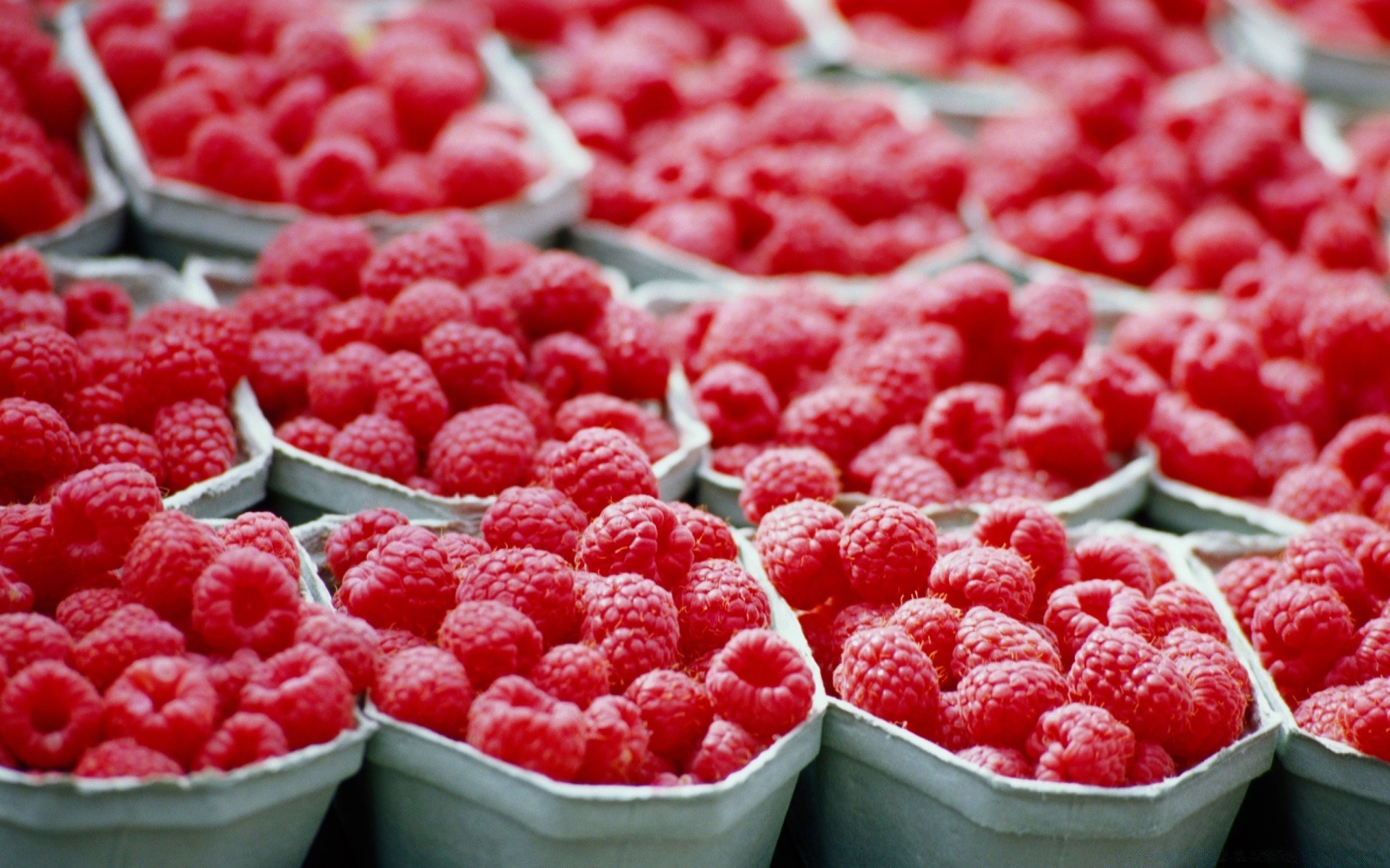 fruits framboises nourriture douce baie juteuse délicieuse en bonne santé marché alimentation fraîcheur nutrition beaucoup délicieux santé partie bol pâturage