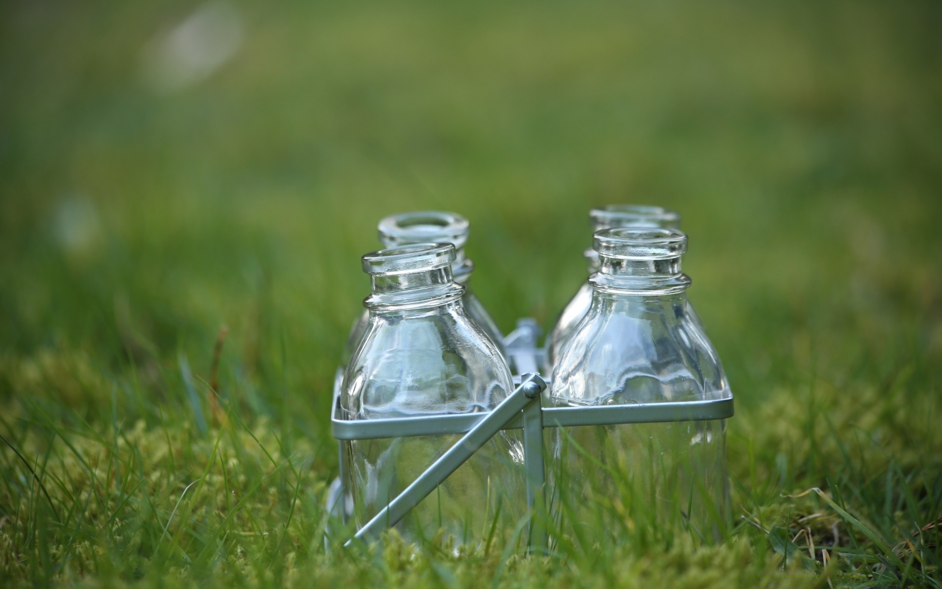 nourriture et boissons herbe nature en plein air été champ