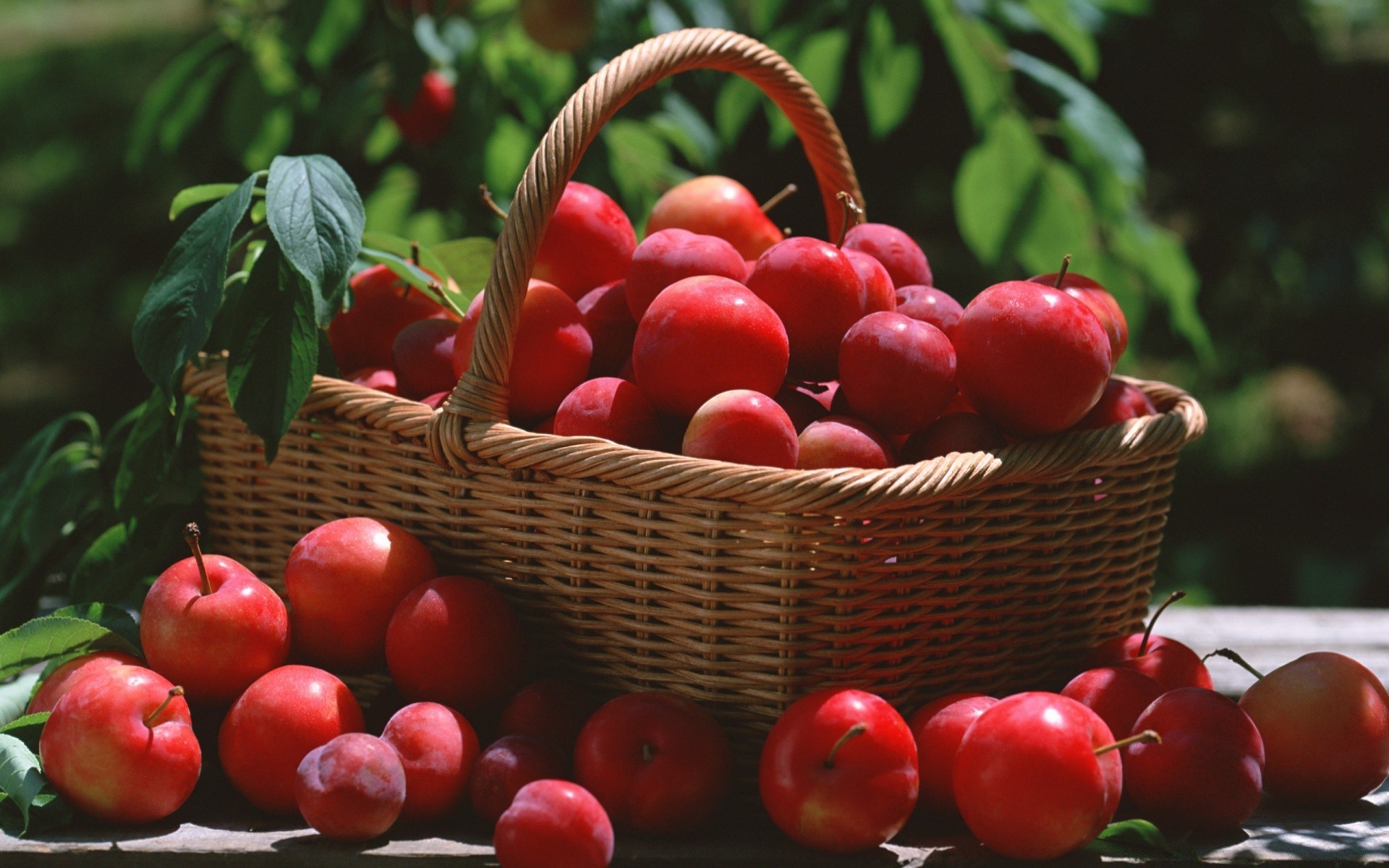 fruta cesta comida jugosa pasto cereza baya crecer jardín hoja mimbre saludable mercado delicioso vegetal nutrición salud agricultura confitería