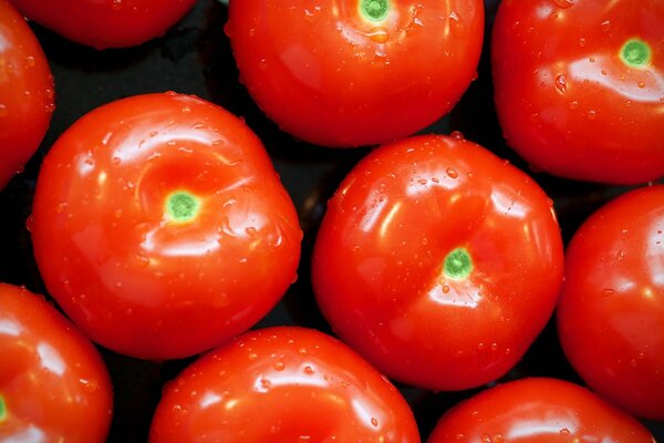 I pomodori rossi stimolano l appetito