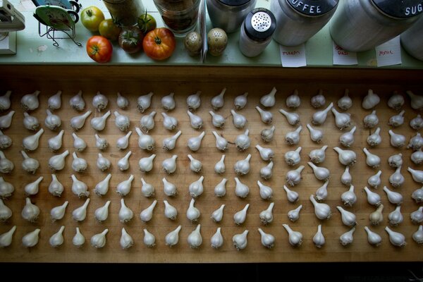 Weißer Knoblauch in einem Behälter getrocknet