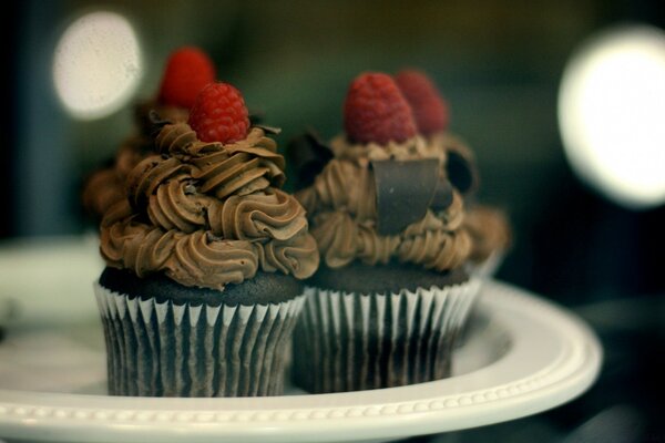 Chocolate dessert with berry