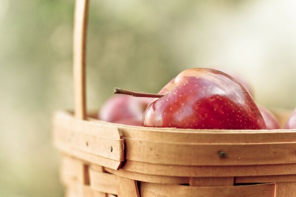 Sfondo di frutta in legno sulla natura