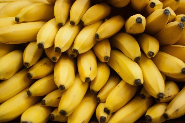 Banana mafia fruit fantasy