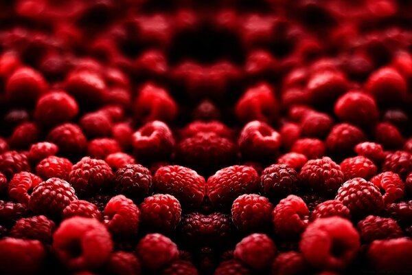 Sweet delicious raspberries