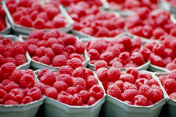 Ambiance framboise. baies douces pour le bureau