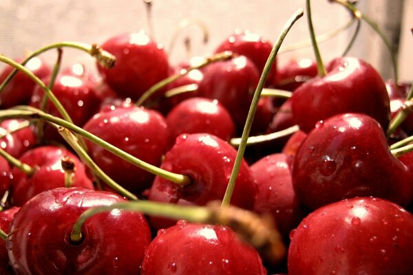 Cereza roja madura