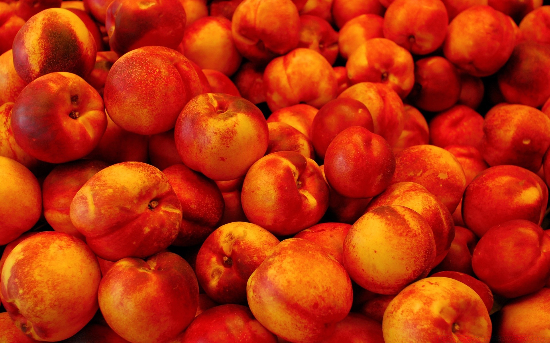 fruits nourriture juteuse pêche confiserie grandir marché pomme en bonne santé nutrition pâturage agriculture automne abricot beaucoup délicieux santé nectarine fraîcheur