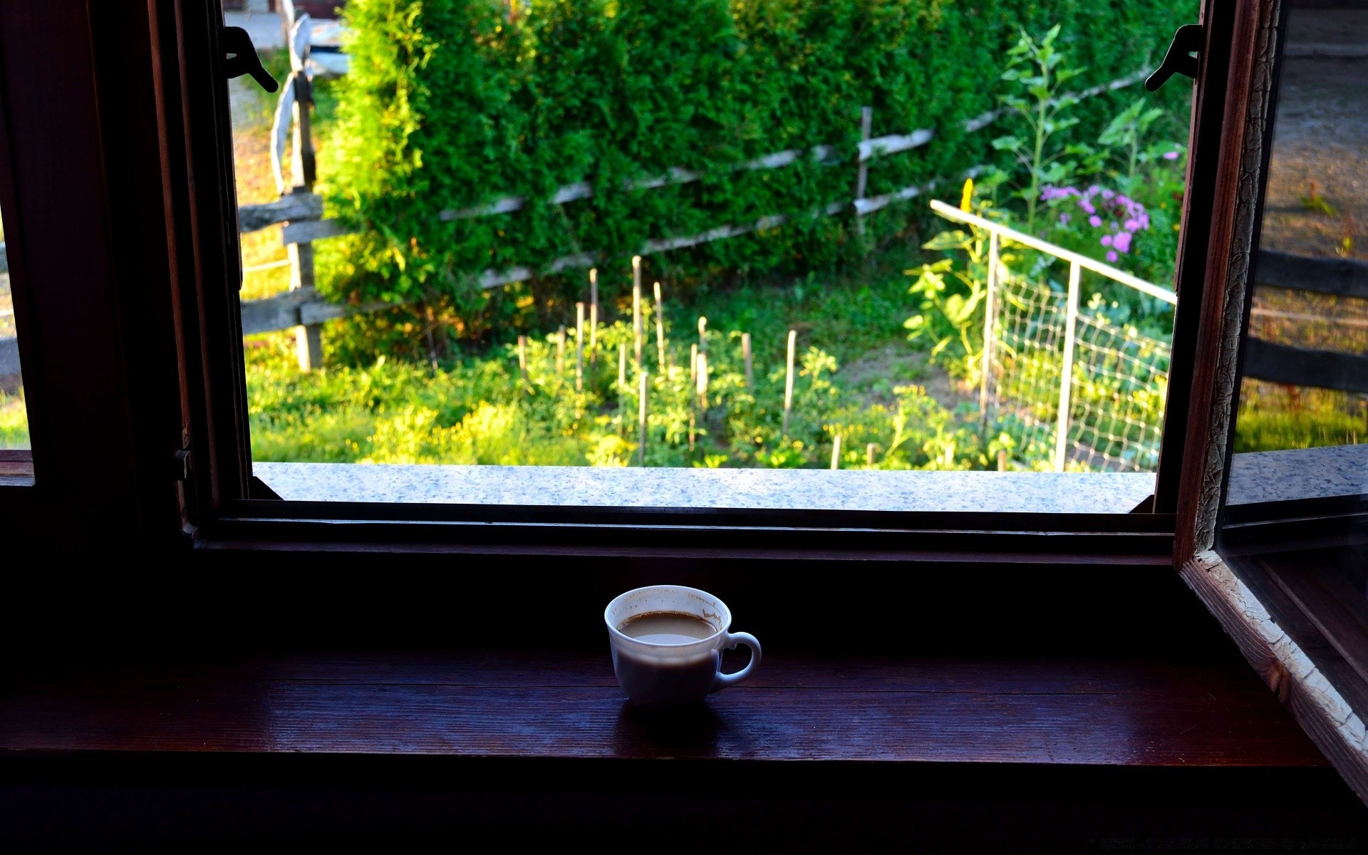 essen & trinken fenster holz drinnen zuhause im freien garten licht familie tageslicht