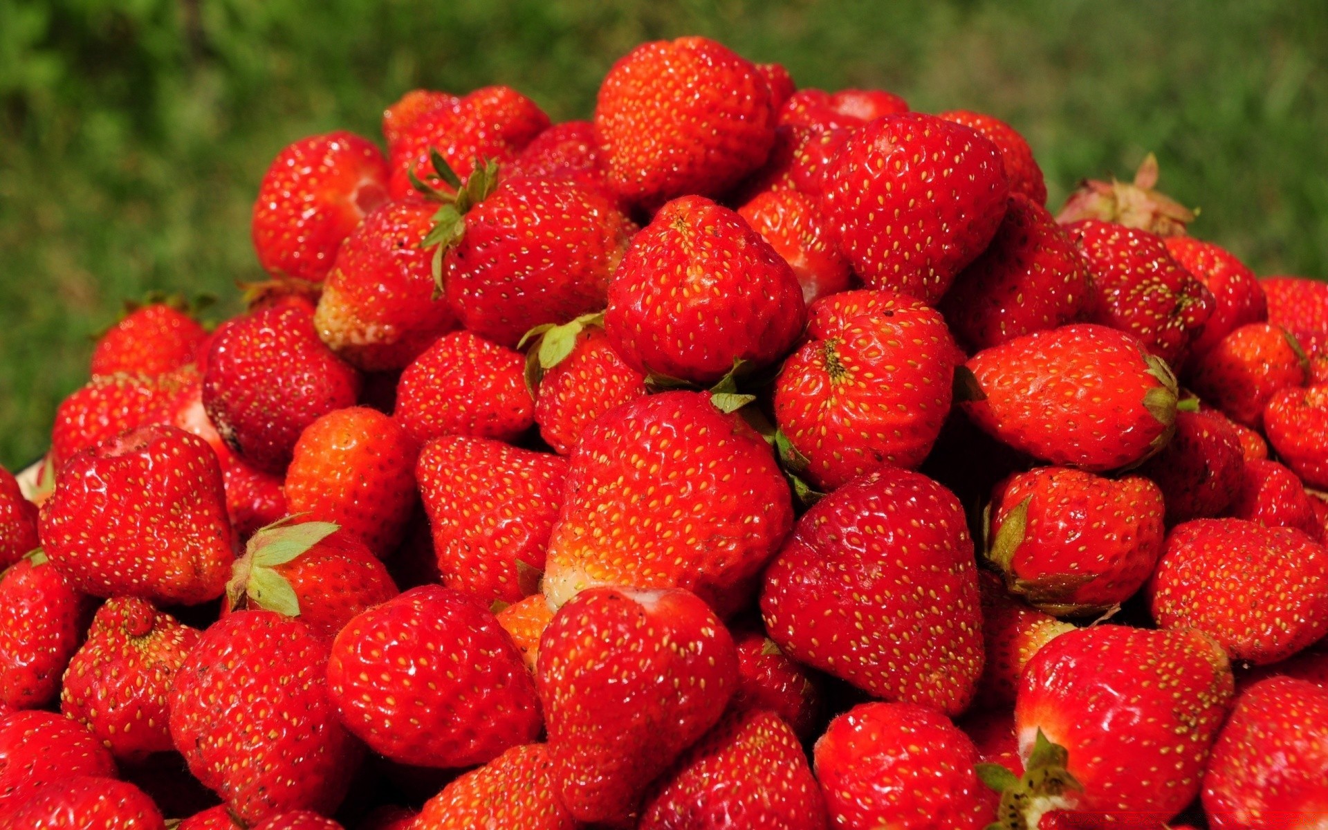 frutas morango baga comida suculento delicioso crescer saudável saúde pastelaria doce frescura delicioso comida dieta jardim pasto mercado verão