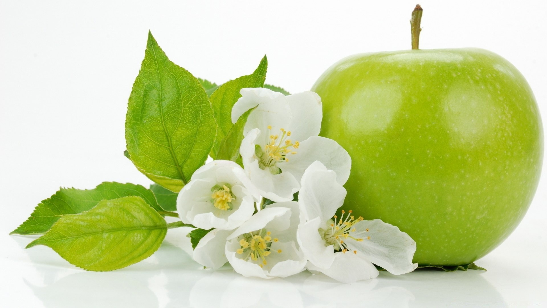 obst blatt natur apfel gesundheit essen hell isoliert frische flora essen