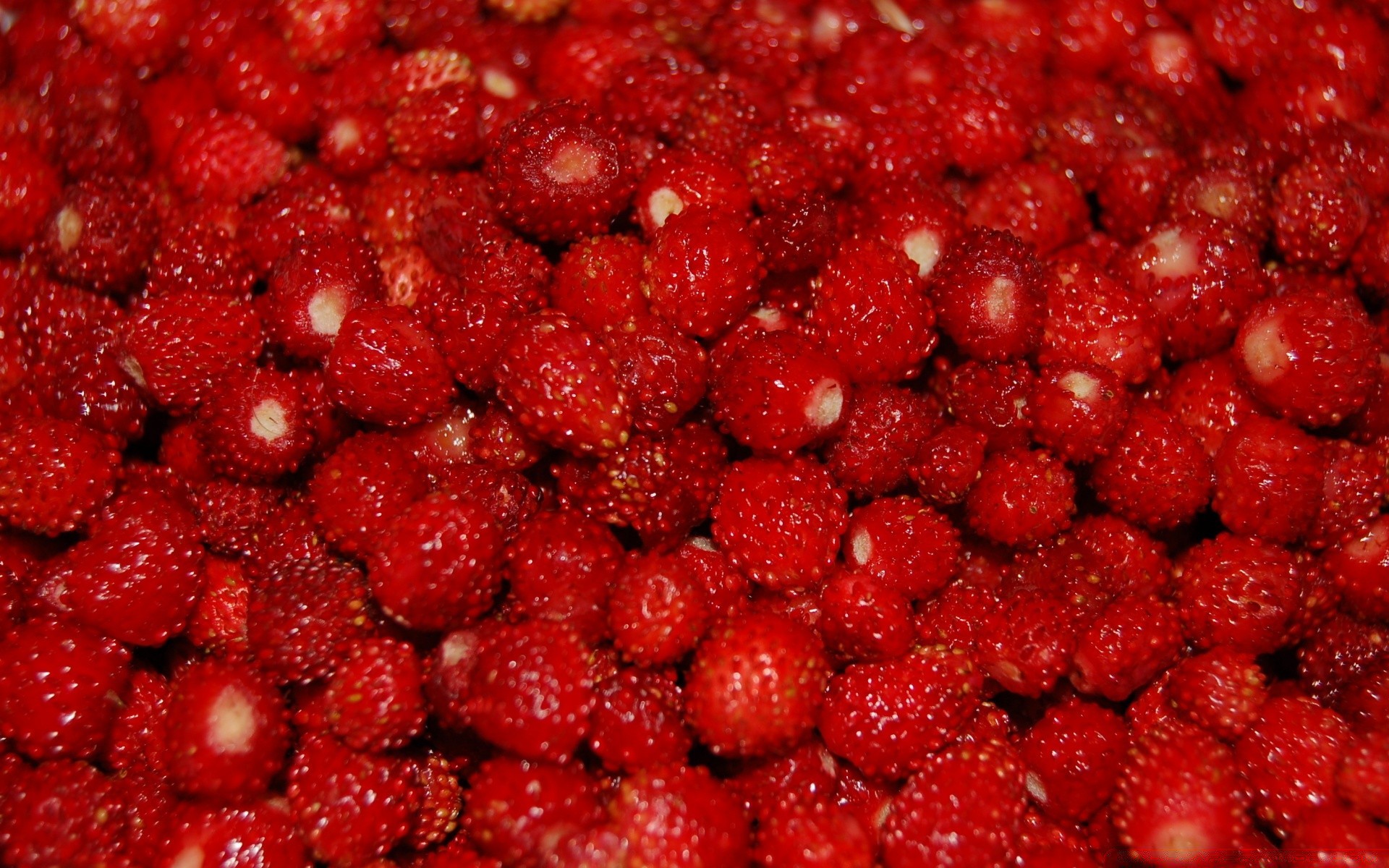 fruit berry food sweet juicy delicious tasty raspberry healthy diet freshness confection refreshment nutrition epicure grow health close-up strawberry