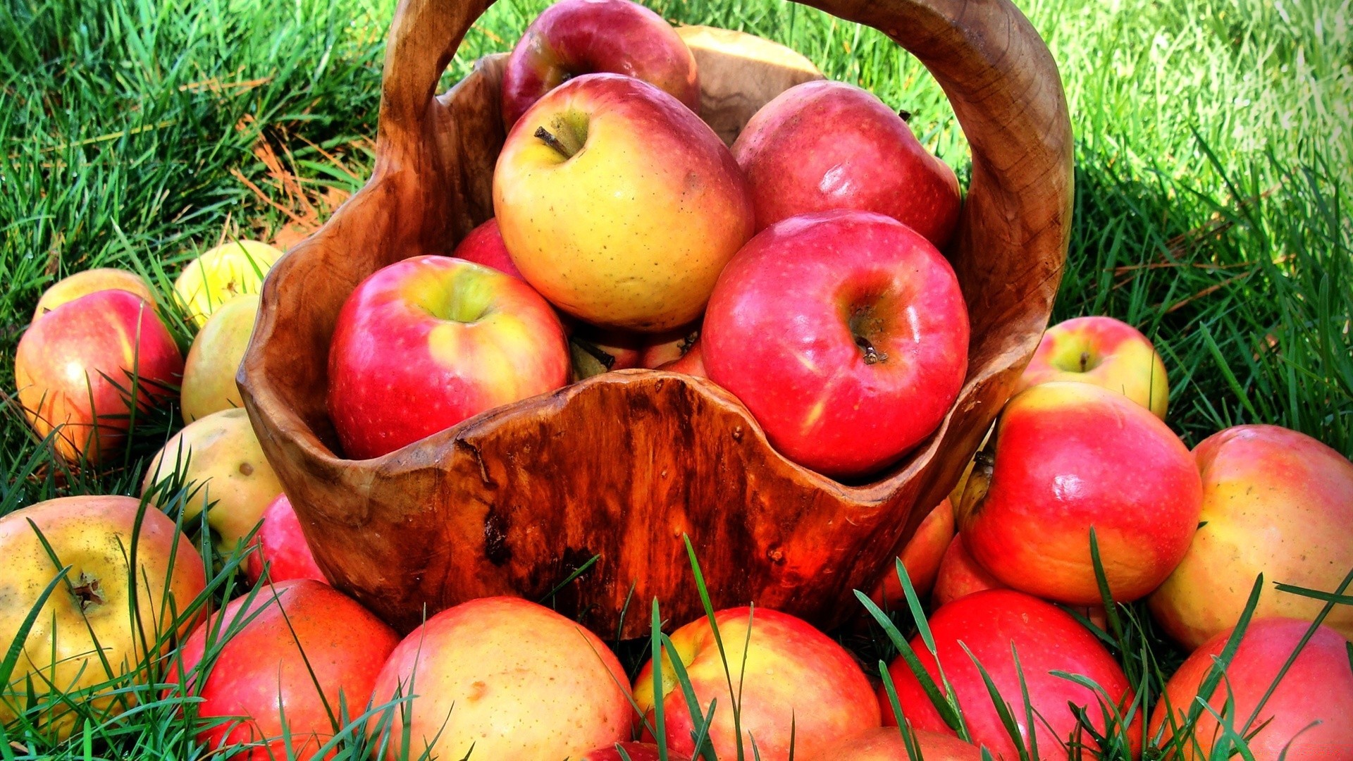 fruit apple food pasture healthy fall basket juicy garden confection leaf nutrition diet delicious nature health