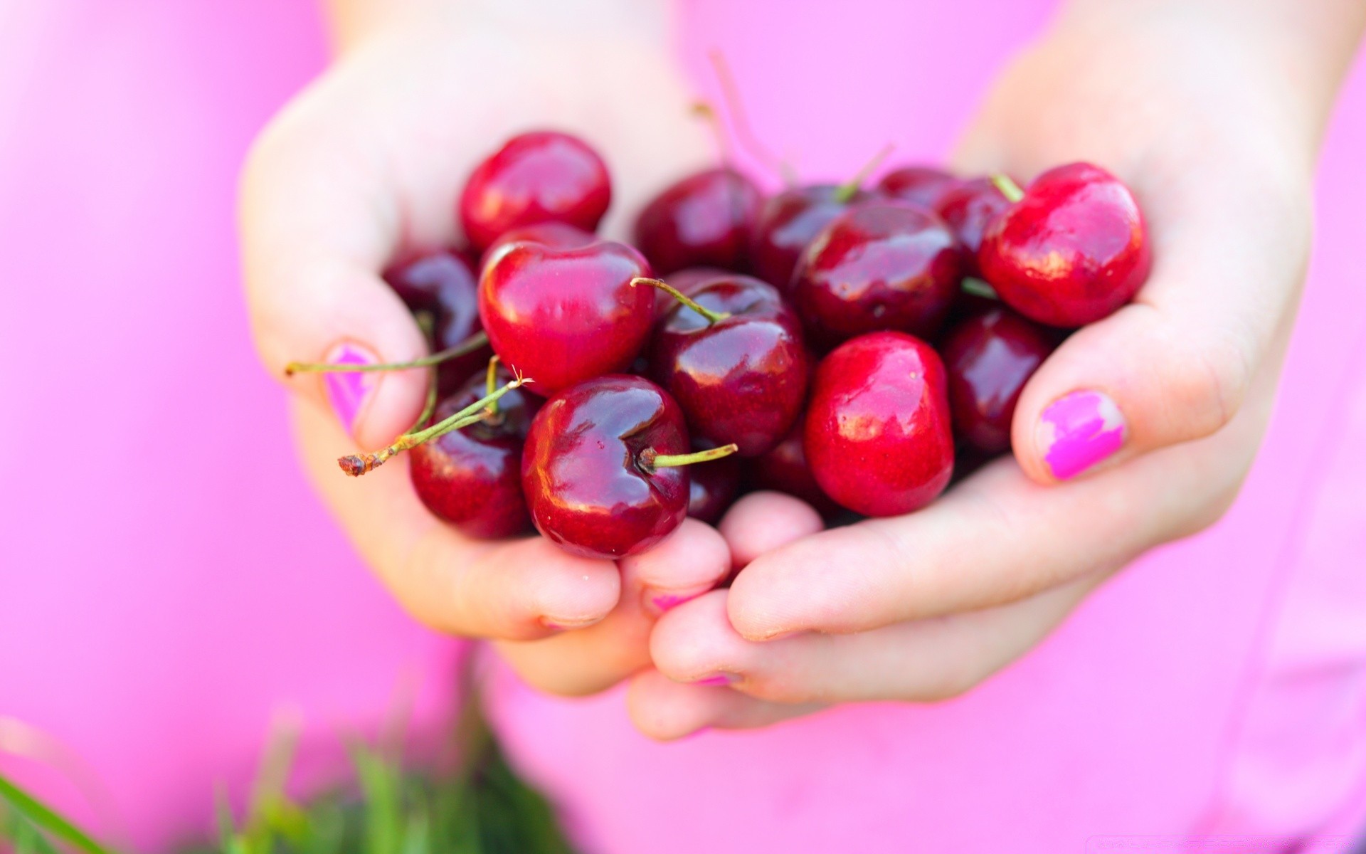 fruta confitería comida cereza salud delicioso saludable baya nutrición jugosa brilla dulce delicioso