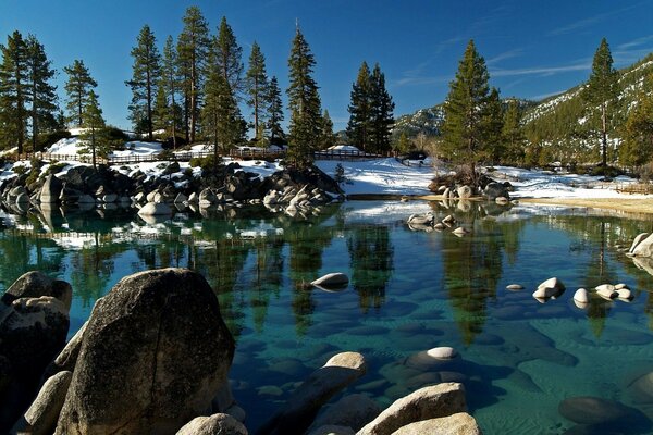 Natura innevata su uno stagno