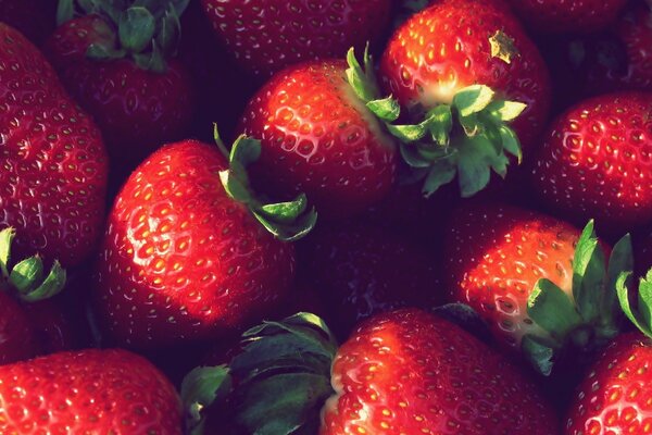 Juicy sweet ripe strawberries