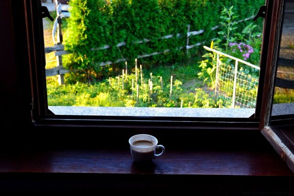 A cup of coffee is on the windowsill