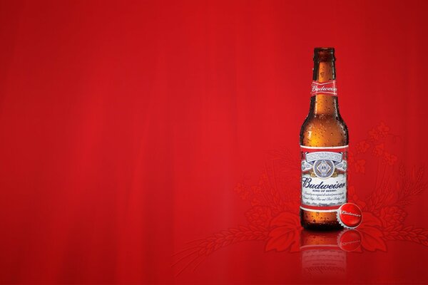 Cerveza Budweiser sobre un fondo rojo elegante