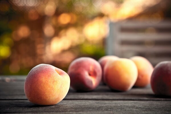 Collected ripe juicy peaches