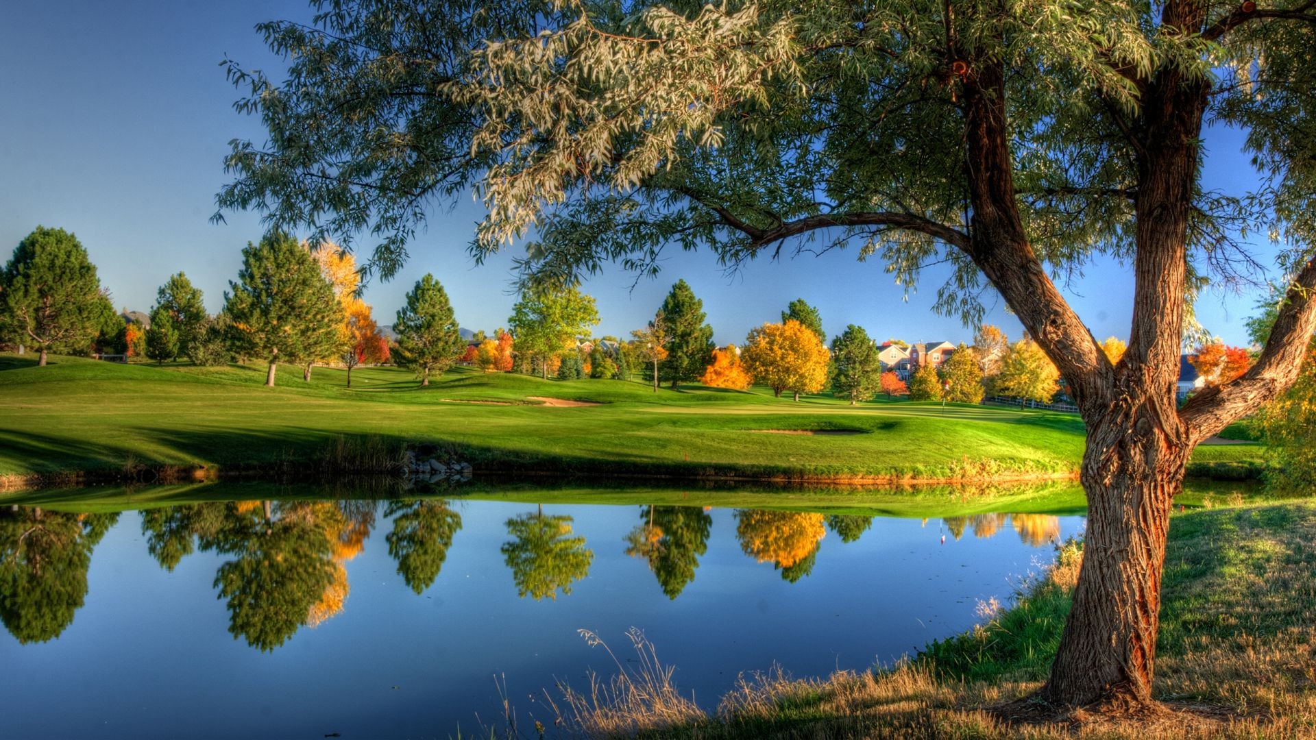 bäume baum landschaft see gras natur im freien himmel schwimmbad landschaftlich reflexion wasser sommer golf holz park herbst fluss landschaft idylle