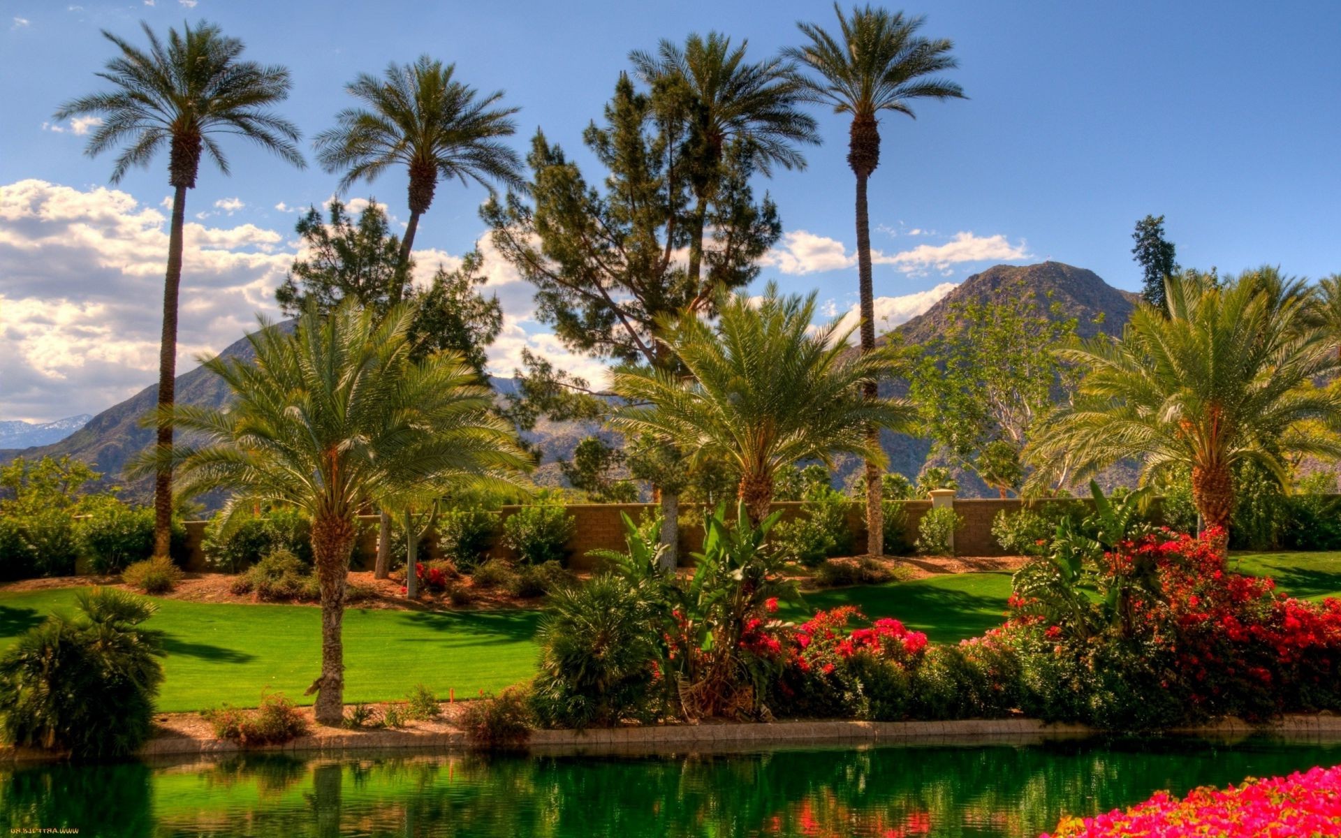 trees palm tree tropical resort vacation travel summer garden island paradise nature exotic beach coconut sky flora outdoors tourism beautiful