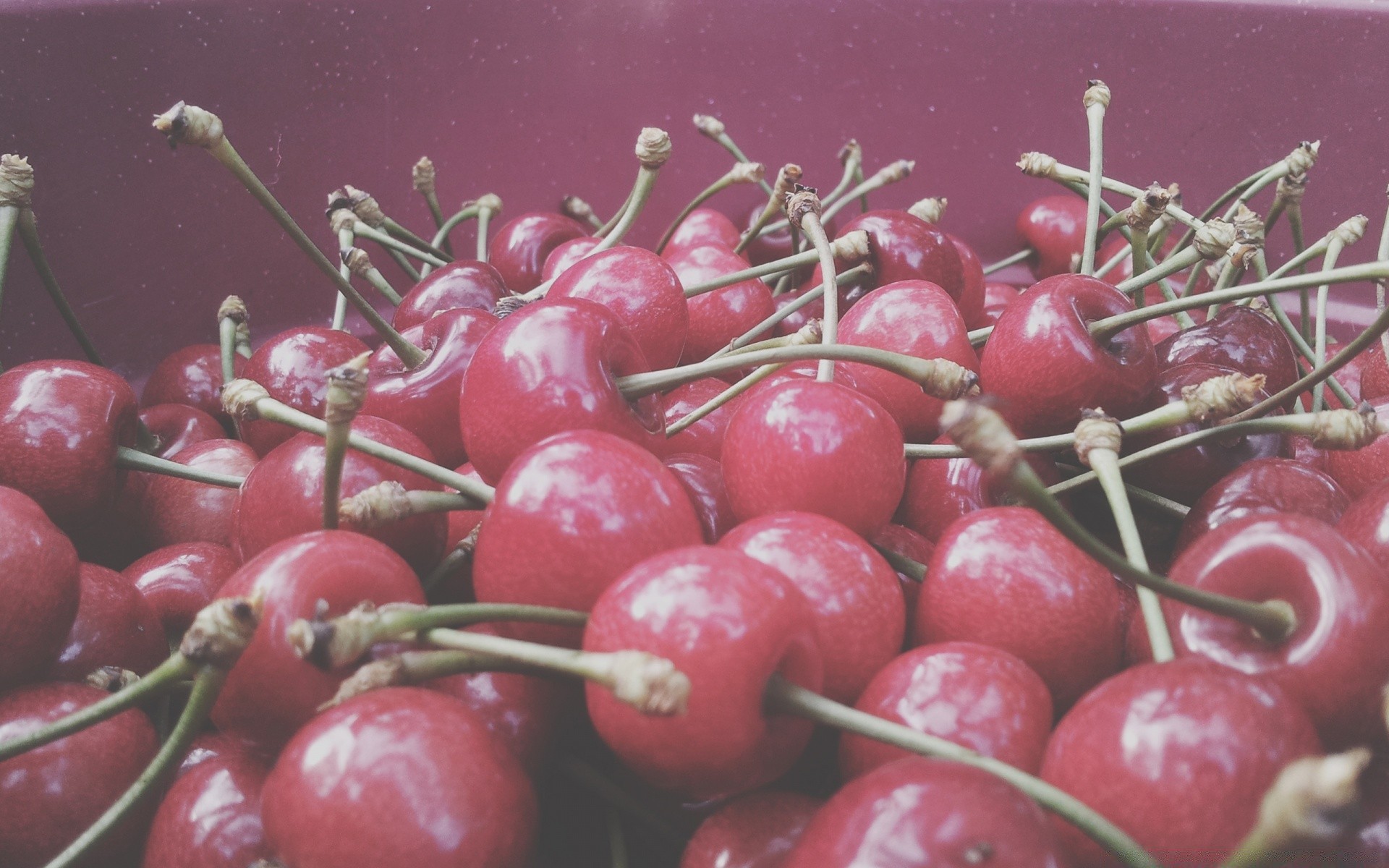 frutta cibo salute ciliegia sano delizioso pasticceria succosa bacca crescere nutrizione molti freschezza buccia delizioso dieta natura agricoltura estate