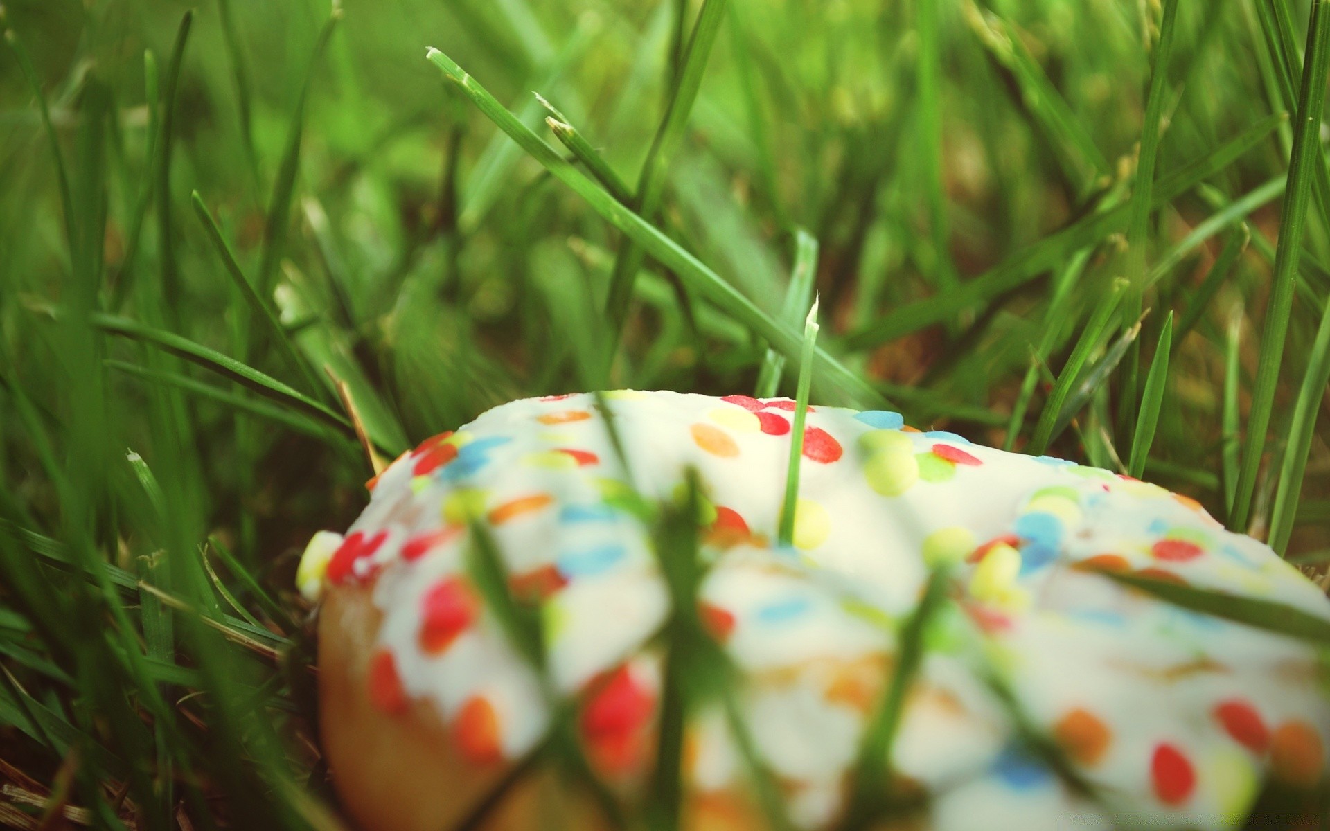 desserts ostern essen gras natur ei sommer im freien schließen farbe blatt