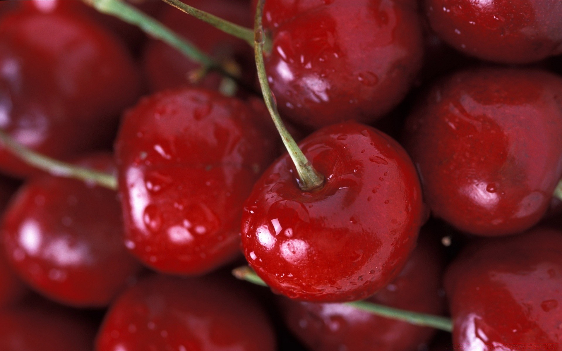 essen & trinken lebensmittel saftig obst beere kirsche gesund süßwaren lecker gesundheit essen wachsen frische diät landwirtschaft lecker weide blatt sommer markt