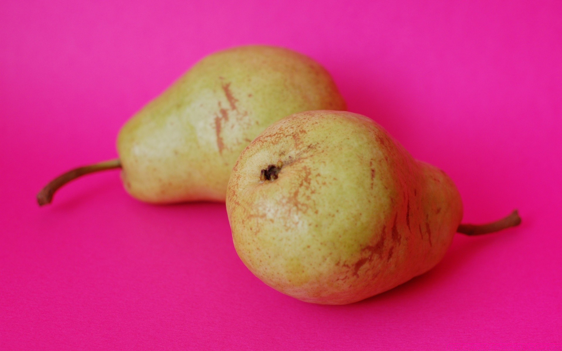 frutas crescer comida pastelaria saúde pêra comida doce ainda vida agricultura