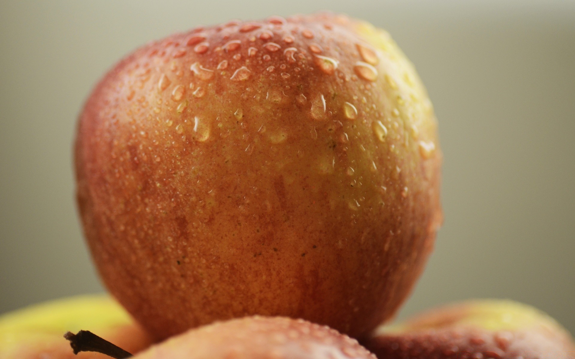 frutas comida maçã delicioso comida doce ainda vida café da manhã saúde