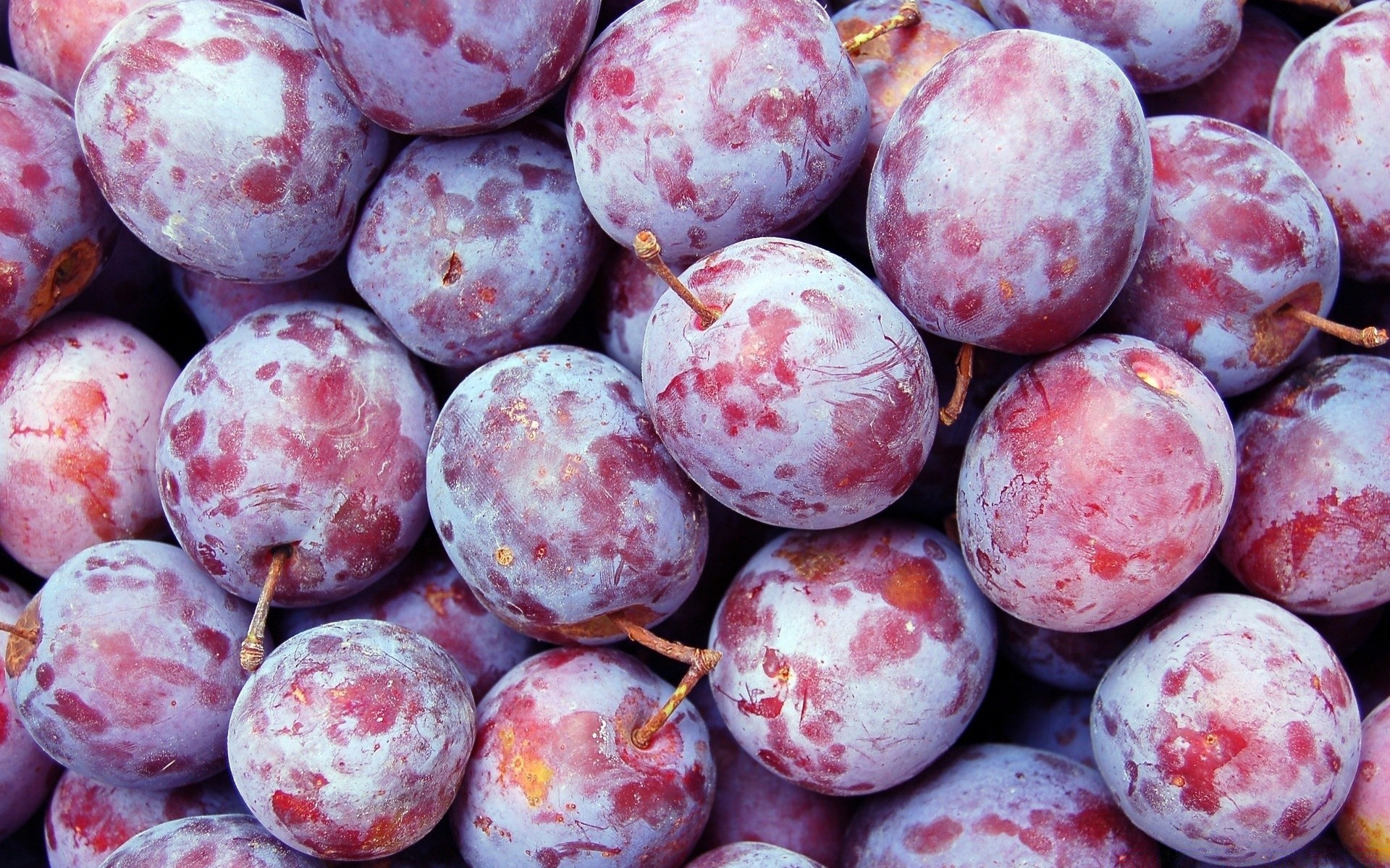 essen & trinken lebensmittel obst gesundheit desktop saftig sommer gesund rund schließen lecker frische süßwaren