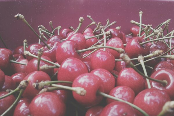 Healthy food red cherry